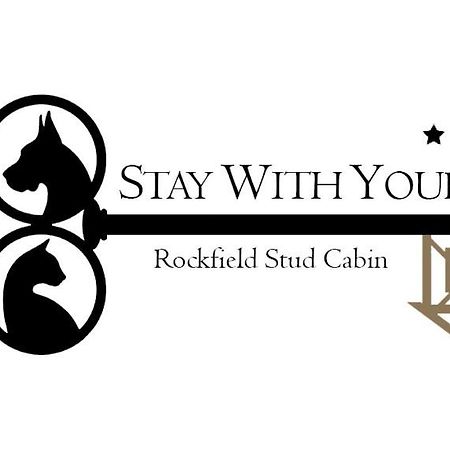 كيلارني Stay With Your Pet المظهر الخارجي الصورة